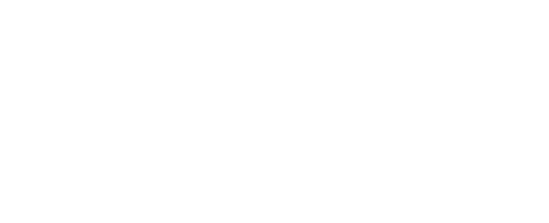 Future Horizons